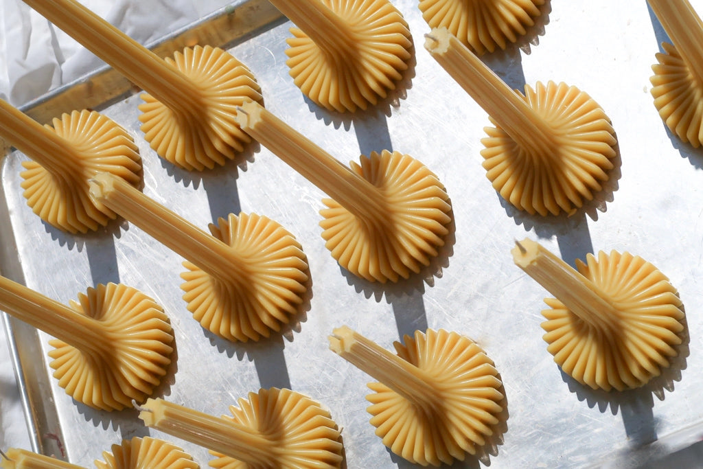 Ribbed beeswax candles on a white background with shadows