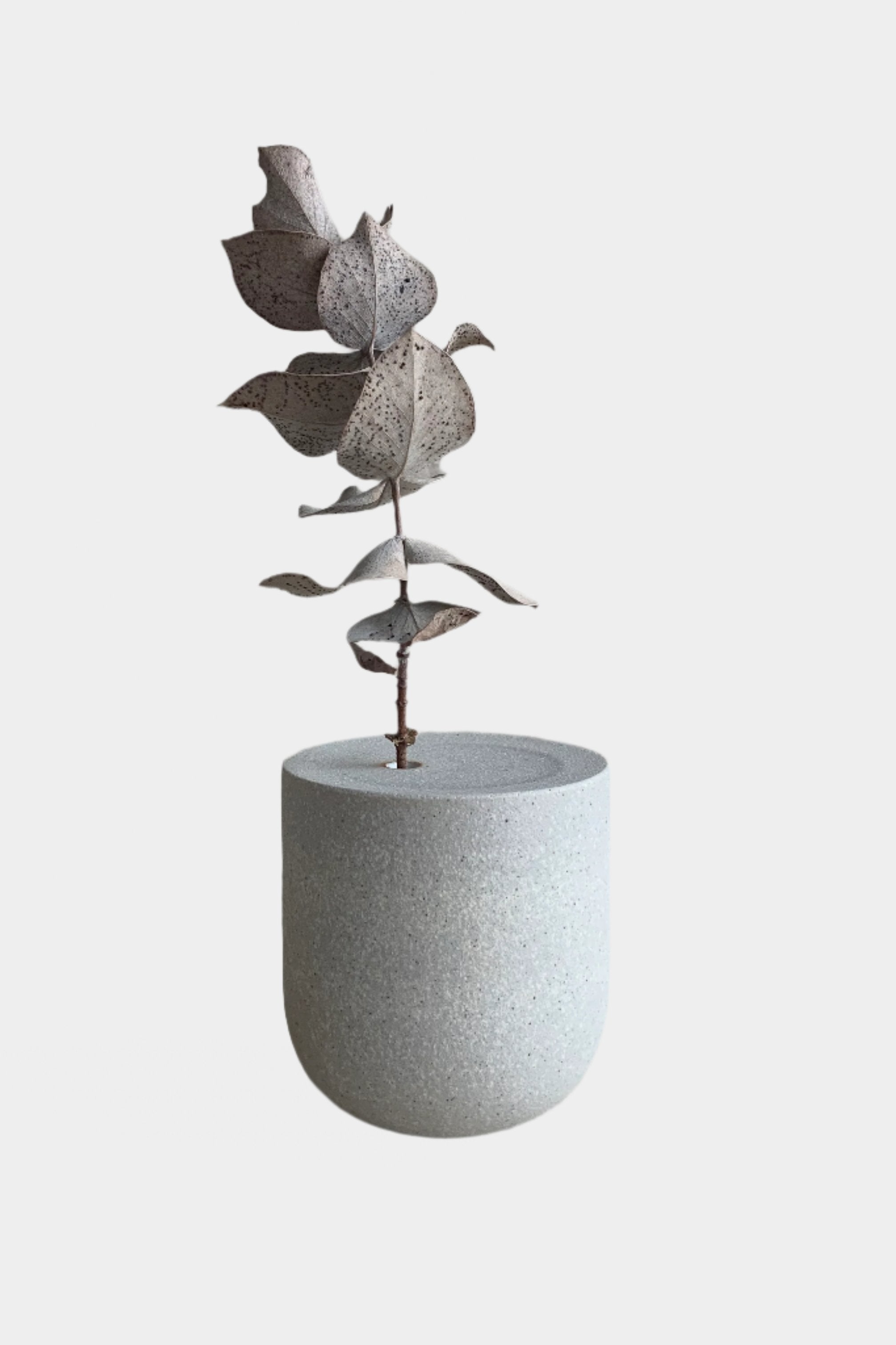 White Ceramic Capsule VASE - east coast general